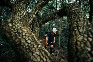 BIB: 
                            <button type="button" onclick="openModal(25394231)" class="btn btn-primary btn-sm float-right btn-popup" data-toggle="modal" data-target=".modal-high-quality">
                        <i class="fas fa-shopping-cart"></i> Add to Cart
                    </button>
                                            <button type="button" onclick="isThisMe(25394231, true)" class="btn btn-success btn-sm float-right btn-popup btn-isme hidden" data-toggle="tooltip" data-placement="bottom" title="นี่คือรูปของคุณใช่ไหม คลิกที่นี่เพื่อเอาเข้าอัลบั้ม">
                        <i class="fas fa-plus"></i> Add to album
                    </button>
                    <button type="button" onclick="isThisMe(25394231, false)" class="btn btn-warning btn-sm float-right btn-popup btn-isnotme hidden">
                        <i class="fas fa-ban"></i> Remove from album
                    </button>